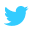 Twitter Icon